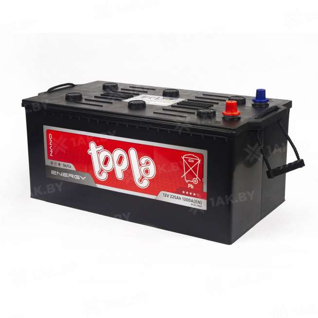 Аккумулятор TOPLA Energy (225 Ah) 1300 A, 12 V Прямая, L+ D6 957912 2