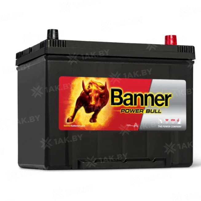 Аккумулятор Banner Power (95 Ah) 740 A, 12 V Обратная, R+ D31 0