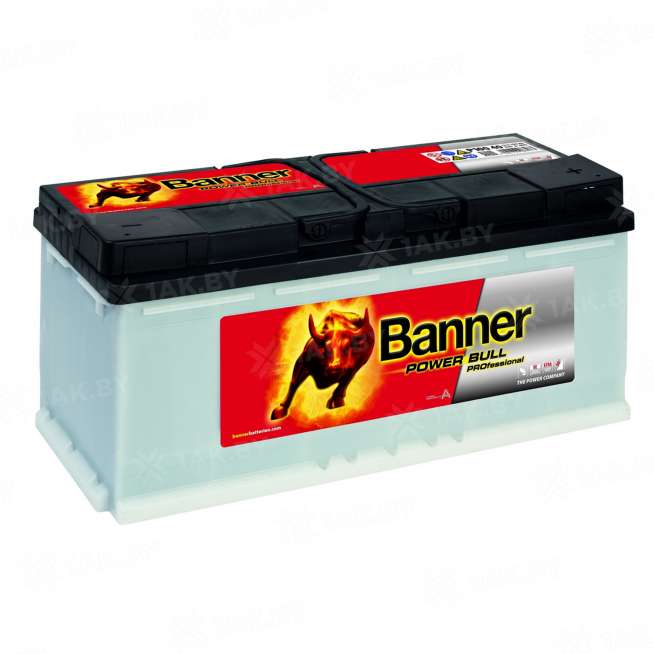 Аккумулятор Banner Power (100 Ah) 800 A, 12 V Обратная, R+ L5 0