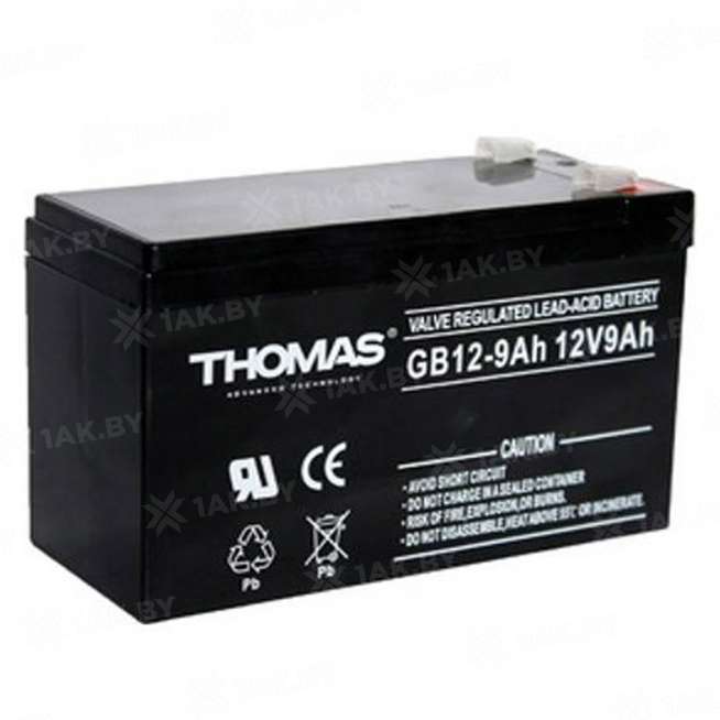 Аккумулятор THOMAS для ИБП, детского электромобиля, эхолота (9 Ah,12 V) AGM 151х65х94/100 2.25 кг 0