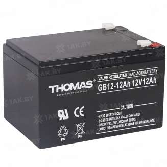 Аккумулятор THOMAS (12 Ah,12 V) AGM 151x98x94 3.1 кг 0