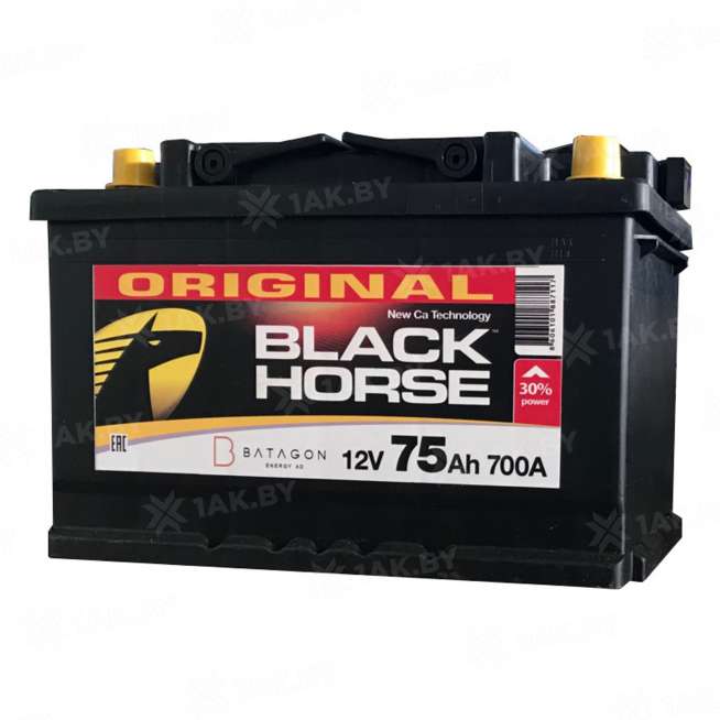 Аккумулятор HORSE (75 Ah) 700 A, 12 V Обратная, R+ L3 0