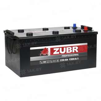 Аккумулятор ZUBR Professional (230 Ah) 1500 A, 12 V Прямая, L+ TYPE С ZU2303S 1