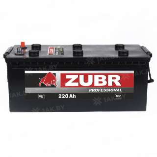 Аккумулятор ZUBR Professional (220 Ah) 1300 A, 12 V Прямая, L+ D5 MAZ220 Аккумулятор ZUBR Professional (220 Ah) 1300 A, 12 V Прямая, L+ D5 MAZ220
