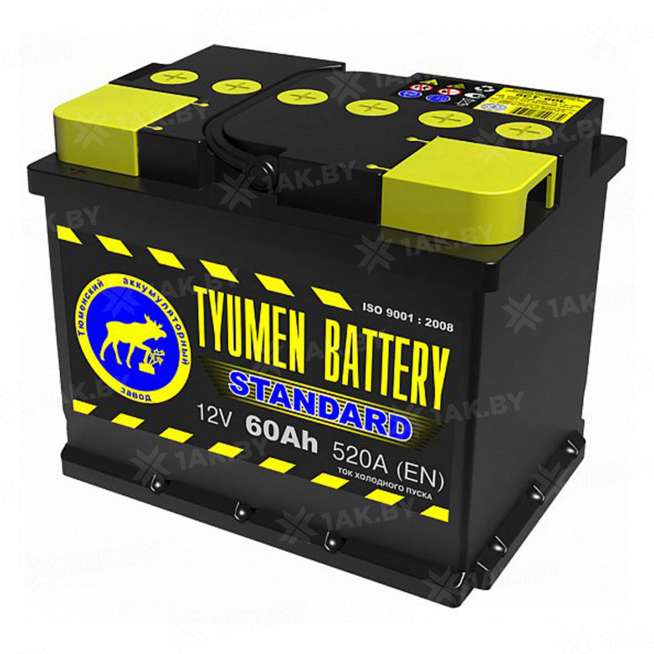 Аккумулятор Тюмень Стандарт (60 Ah) 550 A, 12 V Прямая, L+ L2 TNS60.1 0