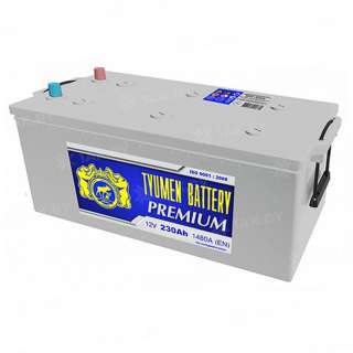 Аккумулятор Тюмень Премиум (230 Ah) 1480 A, 12 V Обратная, R+ D6
