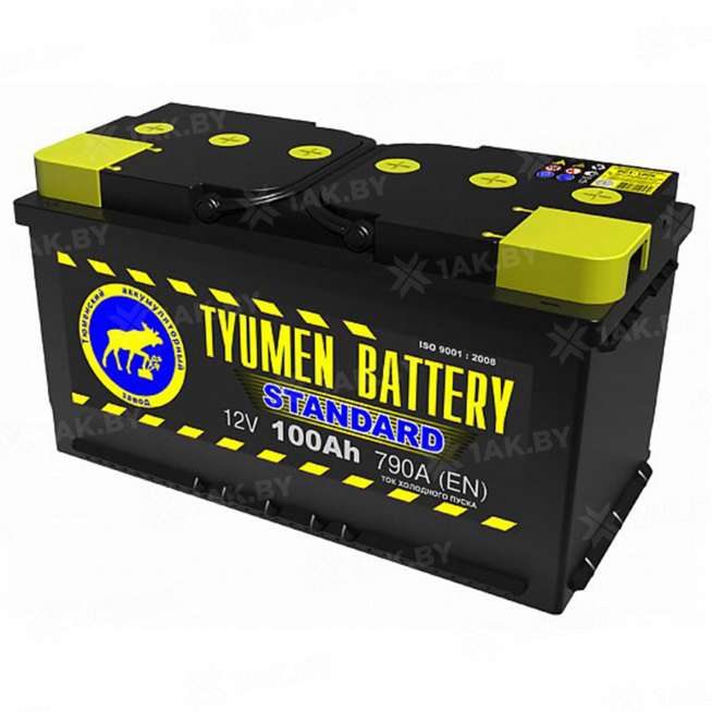 Аккумулятор Тюмень Стандарт (100 Ah) 830 A, 12 V Прямая, L+ L5 TNS100.1 0