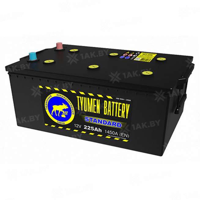 Аккумулятор Тюмень Стандарт (225 Ah) 1450 A, 12 V Обратная, R+ D6 0