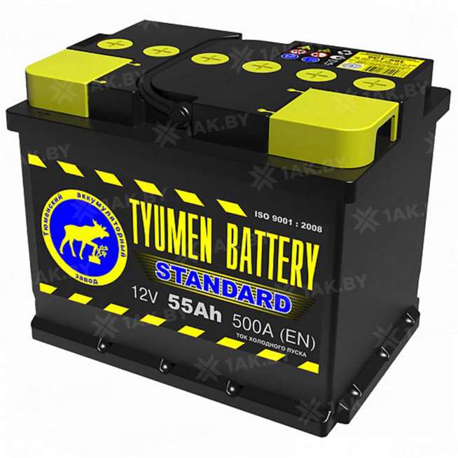 Аккумулятор Тюмень Стандарт (55 Ah) 500 A, 12 V Прямая, L+ L2 0