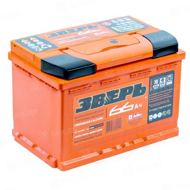 Аккумулятор ЗВЕРЬ (66 Ah) 640 A, 12 V Обратная, R+ L3 0
