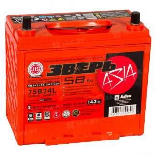 Аккумулятор ЗВЕРЬ (58 Ah) 600 A, 12 V Прямая, L+ B24