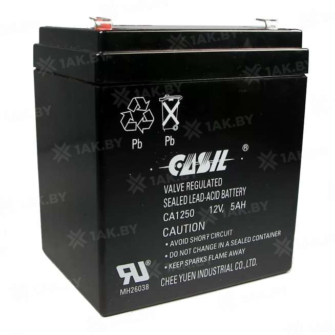 Аккумулятор для ИБП CASIL (5 Ah) , 12 V 0