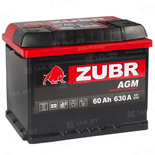 Аккумулятор ZUBR AGM (60 Ah) 630 A, 12 V Обратная, R+ L2 56002600 9