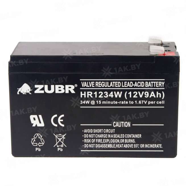 Аккумуляторная батарея ZUBR HR1234W 12V9Ah, Китай 6