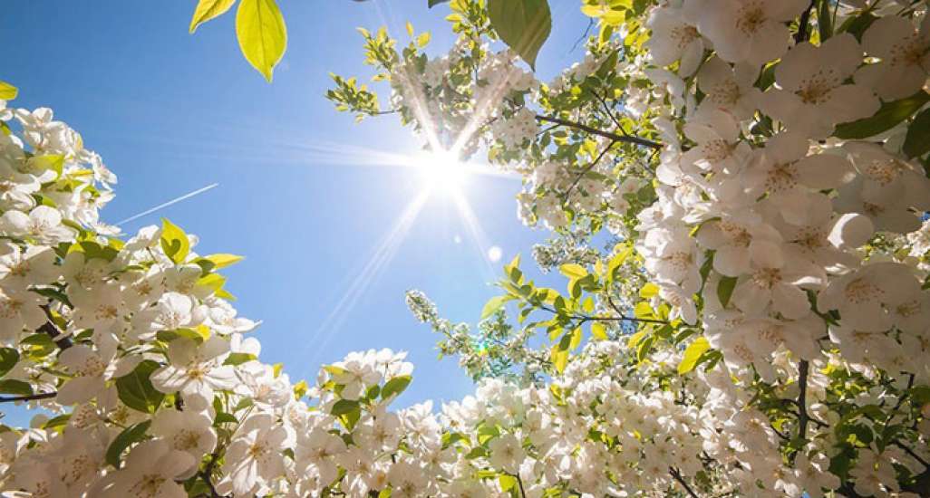 График работы на майские праздники!