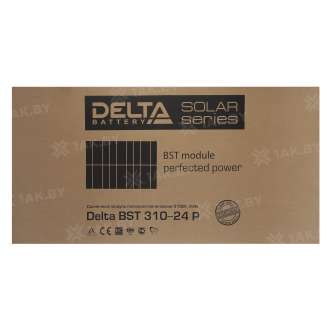 Фотоэлектрические модули Delta BST 310-24 P 5