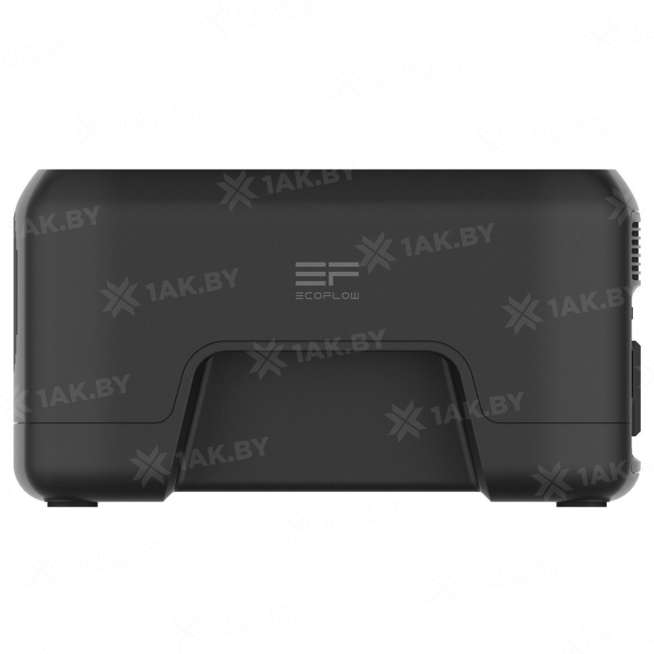 Портативная зарядная станция EcoFlow RIVER Mini 1