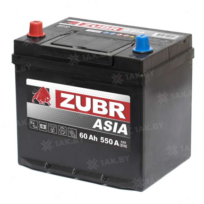 Аккумулятор ZUBR Ultra Asia (60 Ah) 550 A, 12 V Прямая, L+ D23 ZU601JS 1
