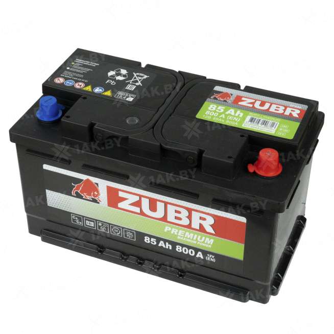 Аккумулятор ZUBR Premium (85 Ah) 800 A, 12 V Обратная, R+ LB4 1