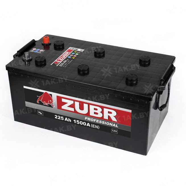 Аккумулятор Zubr Professional 225 Ah, 1500 A, 12 V, Прямая полярность, L+, TYPE С 0
