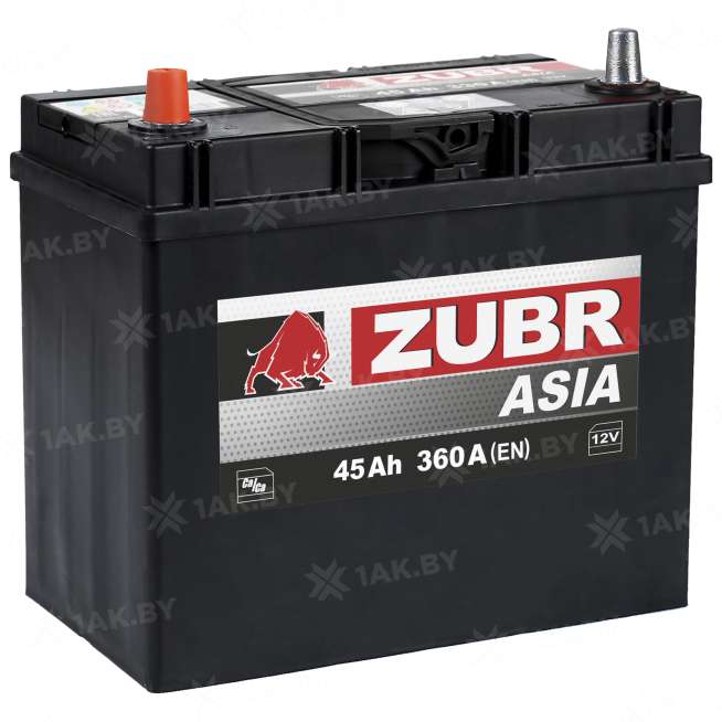 Аккумулятор ZUBR Asia (45 Ah) 360 A, 12 V Прямая, L+ B24 1