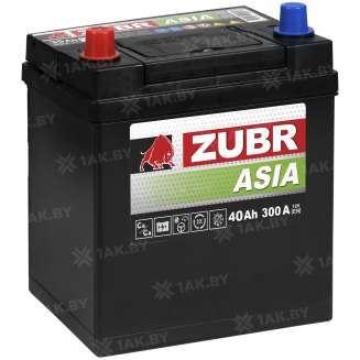 Аккумулятор ZUBR Asia (40 Ah) 300 A, 12 V Прямая, L+ B19 0