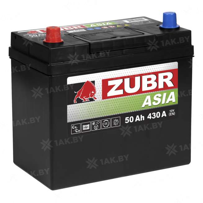 Аккумулятор ZUBR Asia (50 Ah) 430 A, 12 V Прямая, L+ B24 0