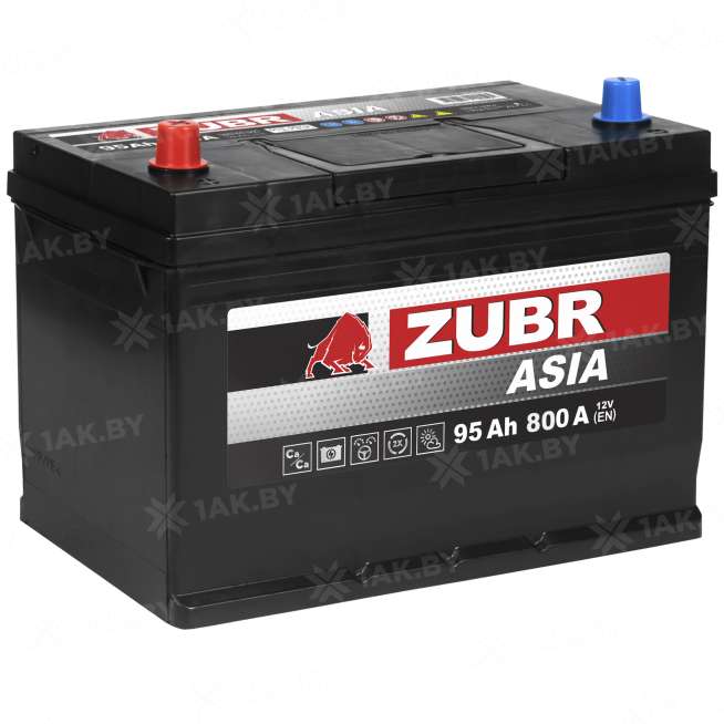 Аккумулятор ZUBR Ultra Asia (95 Ah) 800 A, 12 V Прямая, L+ D31 ZU951JS 0