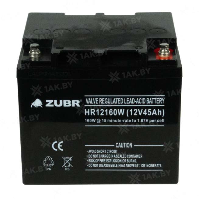 Аккумулятор ZUBR для ИБП, детского электромобиля, эхолота (45 Ah,12 V) AGM 197x165x170 14.3 кг 5