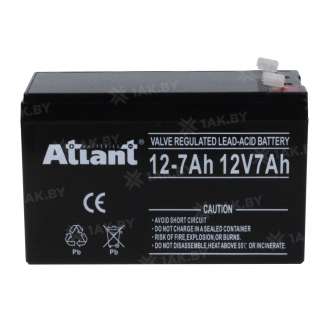 Аккумулятор ATLANT для ИБП, детского электромобиля, эхолота (7 Ah,12 V) AGM 151х98х94 2.037 кг 0