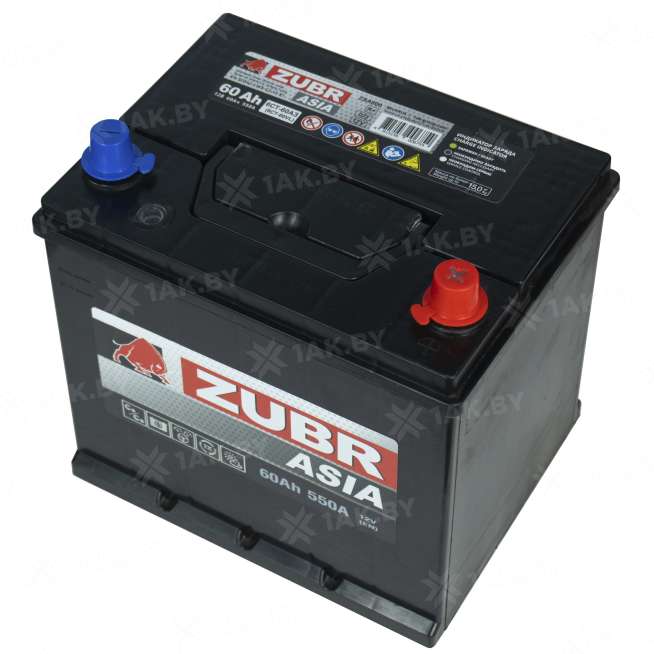 Аккумулятор ZUBR Asia (60 Ah) 550 A, 12 V Обратная, R+ D23 1