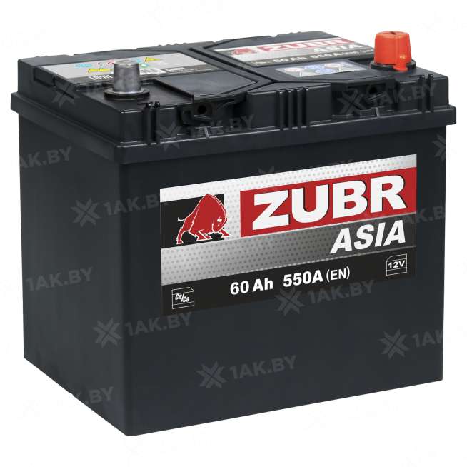 Аккумулятор Zubr Ultra Asia 60 Ah, 550 A, 12 V, Обратная полярность, R+, D23, ZU600JS 0