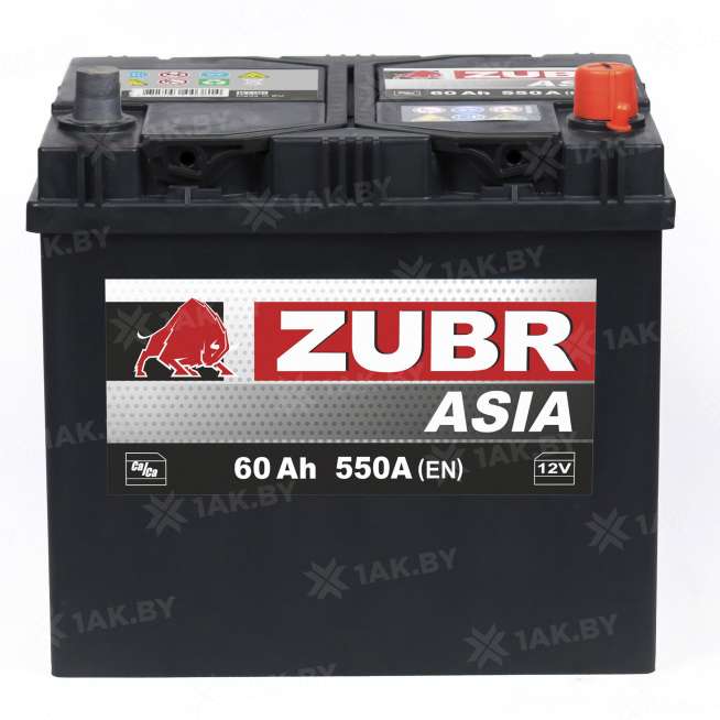 Аккумулятор Zubr Ultra Asia 60 Ah, 550 A, 12 V, Обратная полярность, R+, D23, ZU600JS 1