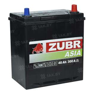 Аккумулятор ZUBR Asia (40 Ah) 300 A, 12 V Обратная, R+ B19 Аккумулятор ZUBR Asia (40 Ah) 300 A, 12 V Обратная, R+ B19