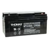 Аккумулятор THOMAS (65 Ah,12 V) AGM 350x167x179 16.5 кг
