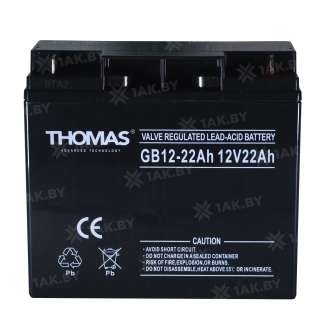 Аккумулятор THOMAS для ИБП, детского электромобиля, эхолота (22 Ah,12 V) AGM 181x77x167 5.2 кг 0