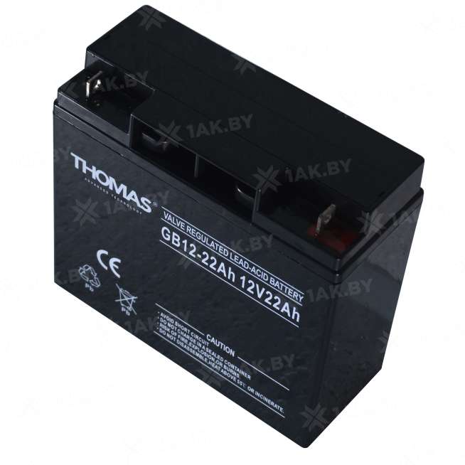Аккумулятор для ИБП THOMAS (22 Ah) , 12 V  GB12-22(Thomas) 2
