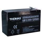 Аккумулятор THOMAS (9 Ah,12 V) AGM 151х65х94/100 2.25 кг