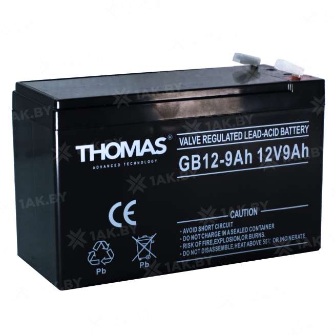 Аккумулятор THOMAS для ИБП, детского электромобиля, эхолота (9 Ah,12 V) AGM 151х65х94/100 2.25 кг 1