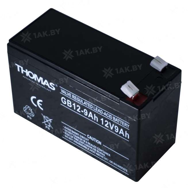 Аккумулятор THOMAS для ИБП, детского электромобиля, эхолота (9 Ah,12 V) AGM 151х65х94/100 2.25 кг 2