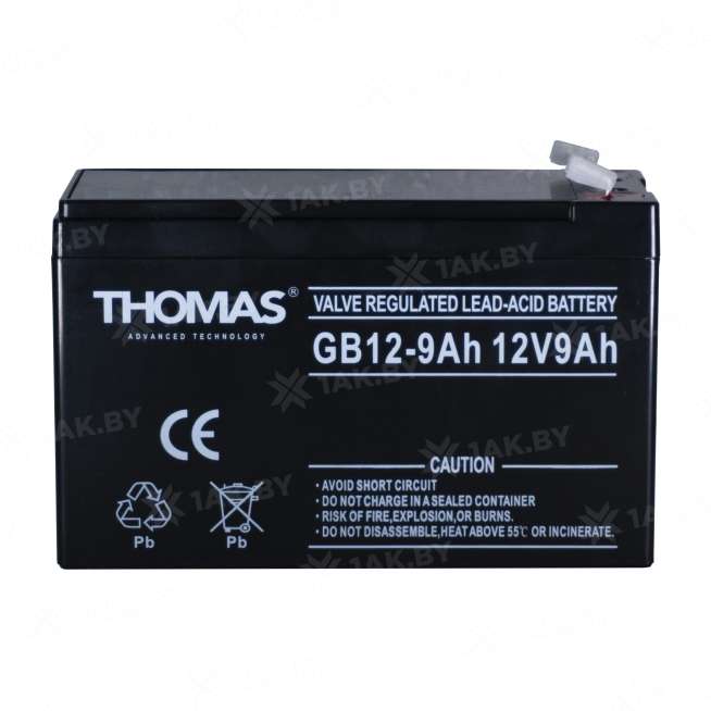 Аккумулятор THOMAS для ИБП, детского электромобиля, эхолота (9 Ah,12 V) AGM 151х65х94/100 2.25 кг 3