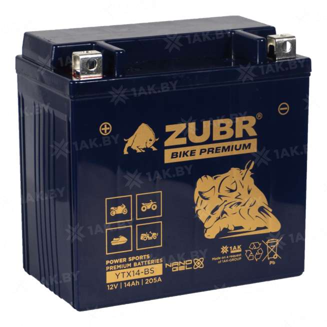 Аккумулятор для мотоцикла ZUBR (14 Ah) 205 A, 12 V Прямая, L+ YTX14-BS YTX14-BS (ZubrPrem) 0