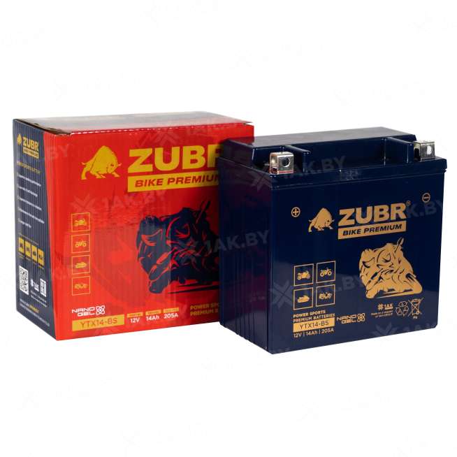 Аккумулятор для мотоцикла ZUBR (14 Ah) 205 A, 12 V Прямая, L+ YTX14-BS YTX14-BS (ZubrPrem) 1