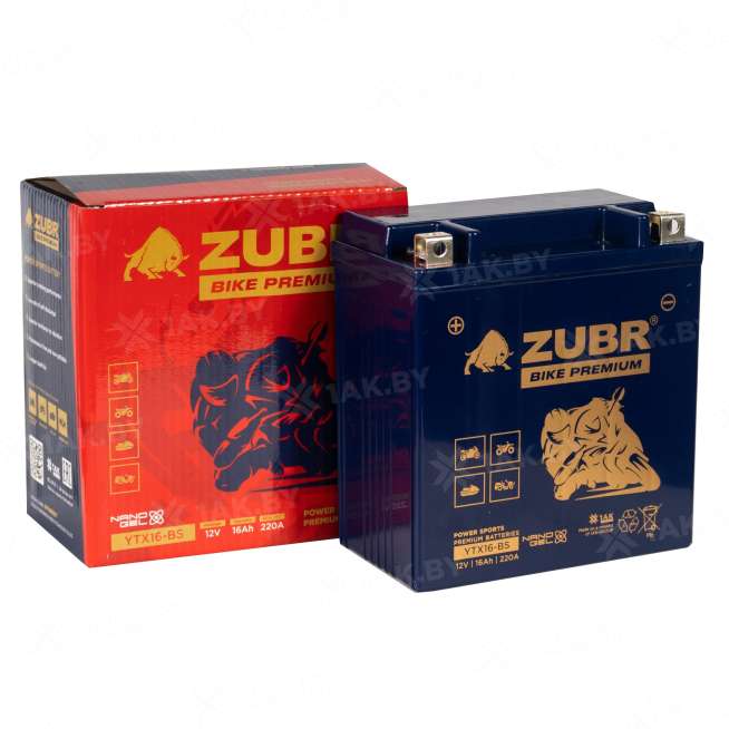 Аккумулятор для мотоцикла ZUBR (16 Ah) 220 A, 12 V Прямая, L+ YTX16-BS YTX16-BS (ZubrPrem) 1