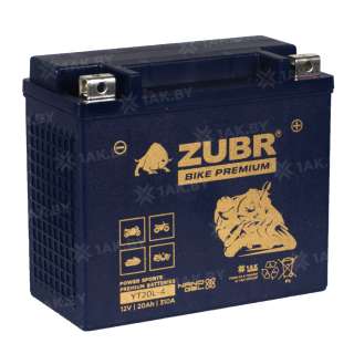 Аккумулятор для мотоцикла ZUBR (20 Ah) 310 A, 12 V Обратная, R+ YT20L-4 YT20L-4 (ZubrPrem) Аккумулятор для мотоцикла ZUBR (20 Ah) 310 A, 12 V Обратная, R+ YT20L-4 YT20L-4 (ZubrPrem)