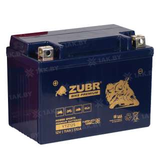 Аккумулятор для мотоцикла ZUBR (11 Ah) 170 A, 12 V Прямая, L+ YTZ12S YTZ12S (ZubrPrem) Аккумулятор для мотоцикла ZUBR (11 Ah) 170 A, 12 V Прямая, L+ YTZ12S YTZ12S (ZubrPrem)