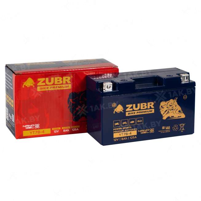 Аккумулятор для мотоцикла ZUBR (8 Ah) 125 A, 12 V Прямая, L+ YT7B-4 YT7B-4 (ZubrPrem) 1