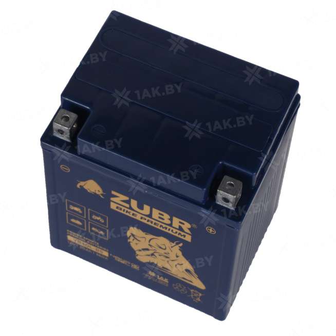 Аккумулятор для мотоцикла ZUBR (30 Ah) 360 A, 12 V Обратная, R+ YB30L-BS YB30L-BS (ZubrPrem) 3