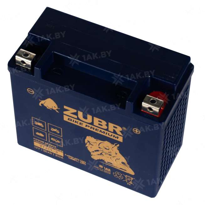 Аккумулятор для мотоцикла ZUBR (20 Ah) 310 A, 12 V Обратная, R+ YT20L-4 YT20L-4 (ZubrPrem) 3