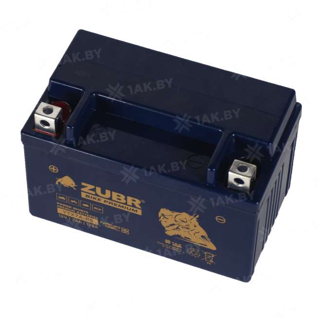 Аккумулятор для мотоцикла ZUBR (7 Ah) 125 A, 12 V Прямая, L+ YTX7A-BS YTX7A-BS (ZubrPrem) 3